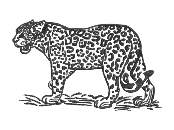 Walking Leopard Outline Embroidery Review